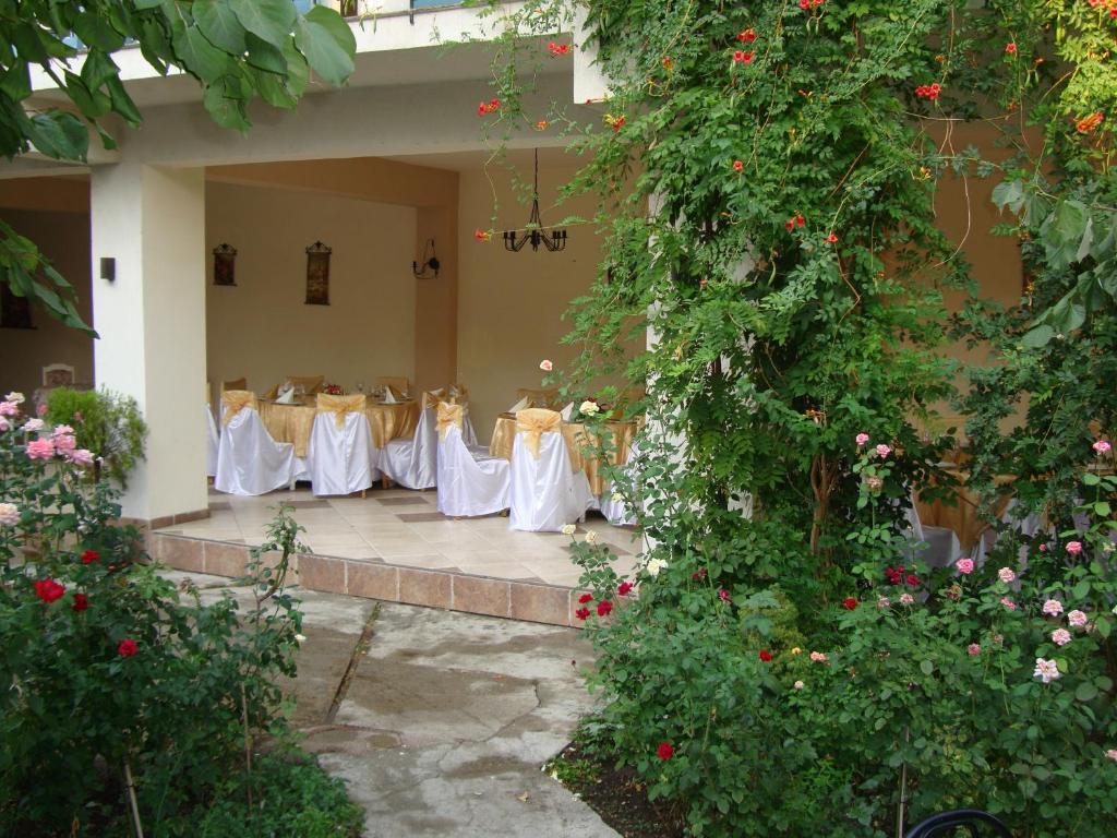 Hostel Tropical Drobeta Turnu Severin Buitenkant foto